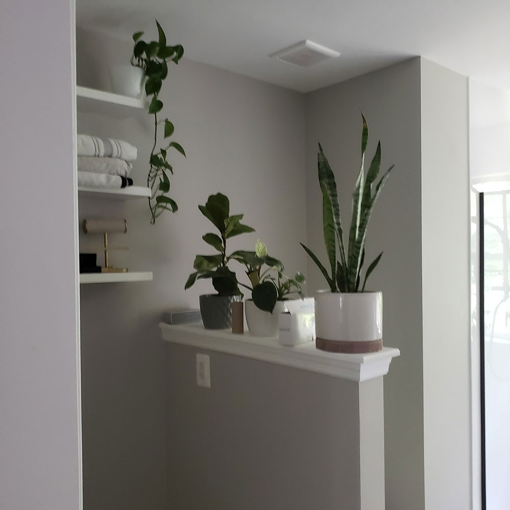 Floating shelves and toilet partition